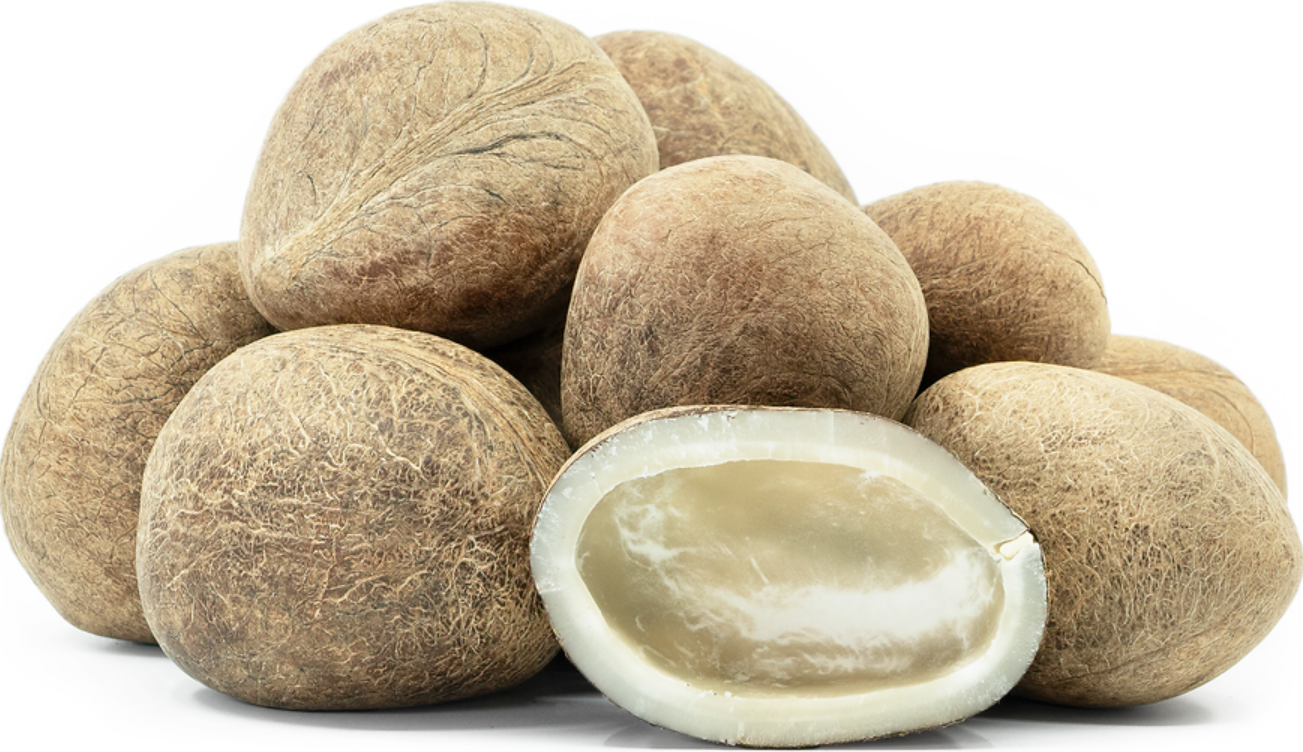 Dry coconut 10 pc