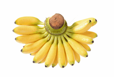 Banana 12 pcs
