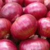 Onion for whole sale