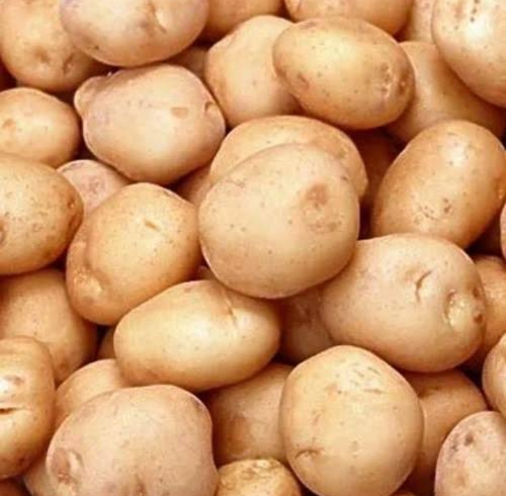 “150 कट्टे बढ़िया आलू (Wholesale Fresh Potatoes)”