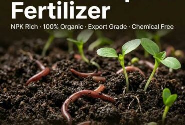 Organic Vermicompost Fertilizer