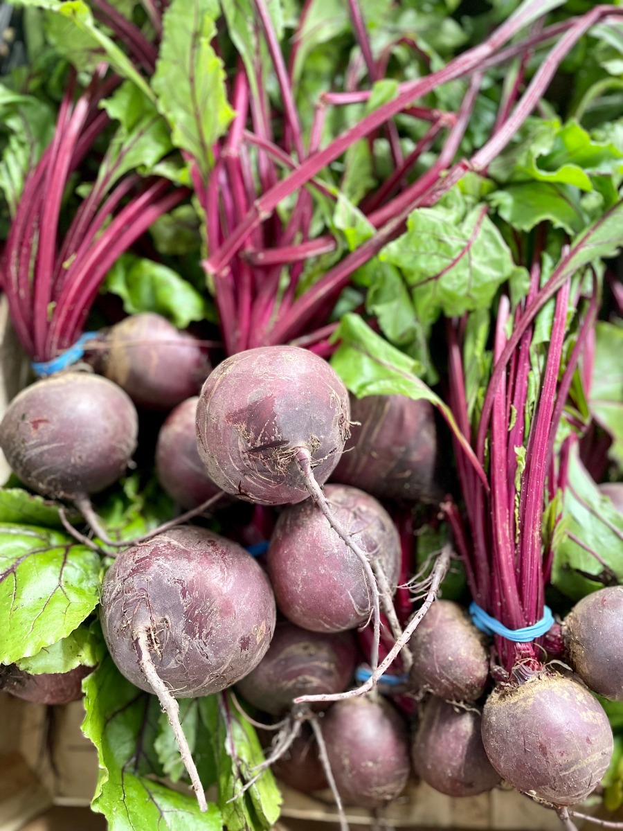 Fress Beetroot