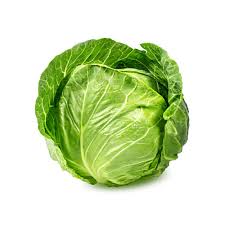 cabbage