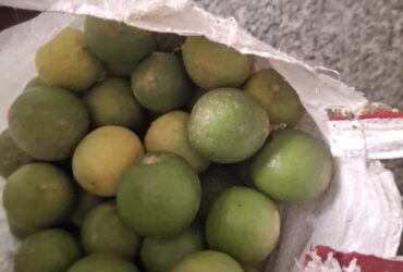 Lemon Directly from farmers