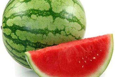 🍉 Fresh Melody Watermelon