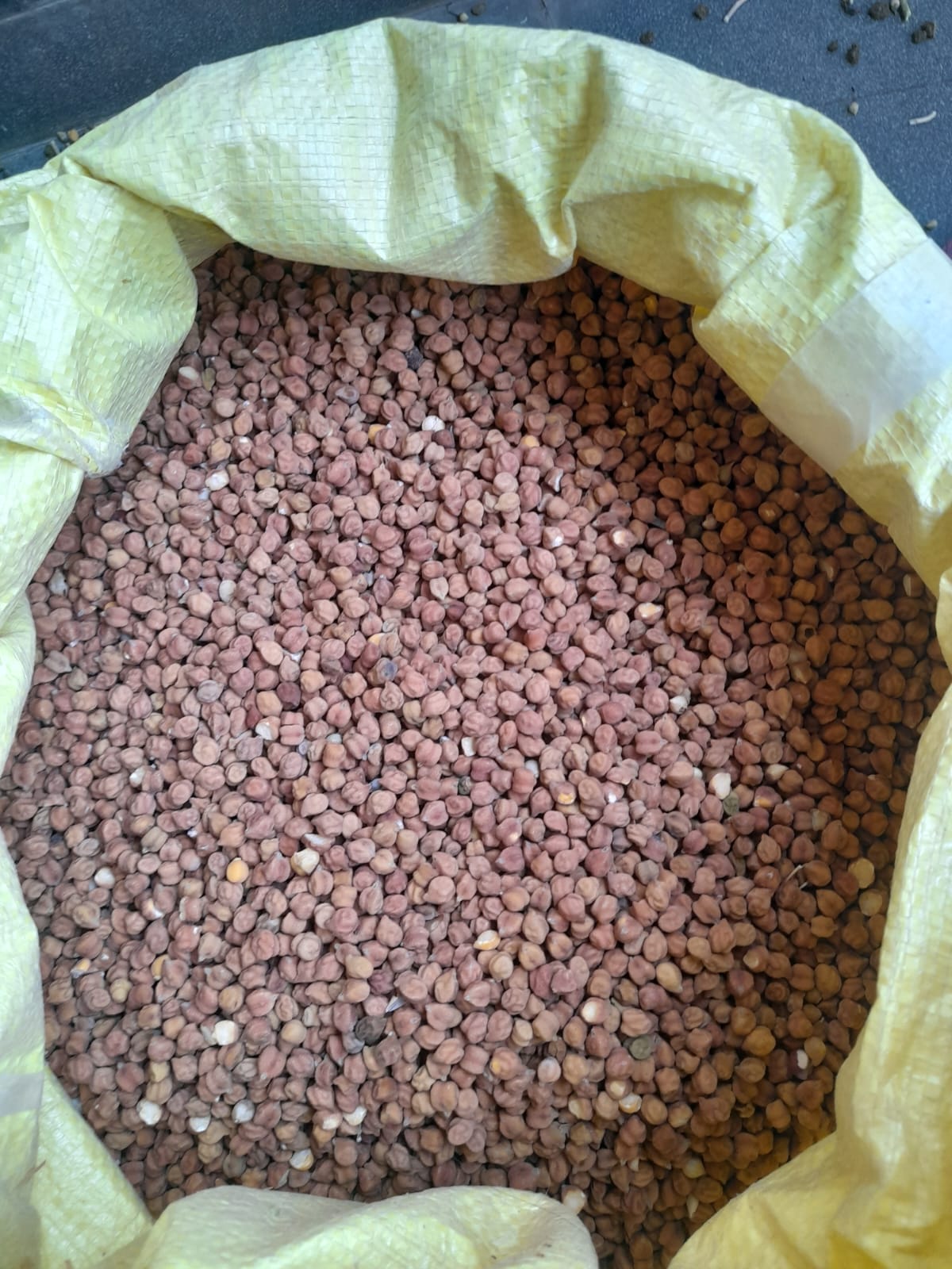 Fresh Wheat and Black Gram (Kale Chane) for Sale – Direct from Farmer