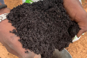 Fermented Organic Manure (FOM)
