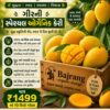 NATURAL ORGANIC MANGO