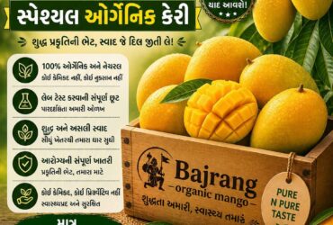 NATURAL ORGANIC MANGO
